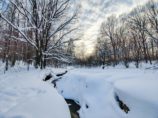 Stream in evening winter forest