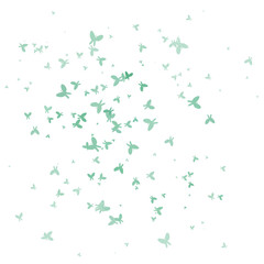 Butterflies splattered illustration, butterfly grunge brush, butterfly brush, abstract butterfly seamless pattern. Perfect for elements, design asset, custom brush.