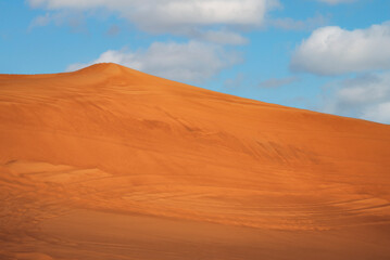 Fototapeta na wymiar Sand dunes in the desert 