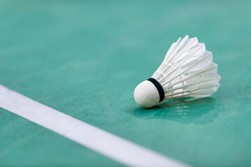 New shuttlecock badminton on mint background. Horizontal sport theme poster, greeting cards,...