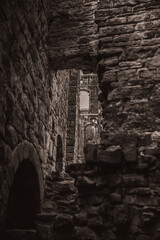 Obraz premium ruins of the old castle
