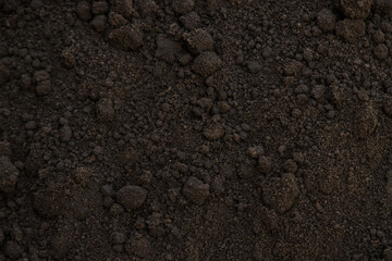 Ground in the garden background texture. Selective focus.