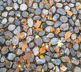 Autumn background, texture of stones. view from above. Yellow leaves have fallen from the trees. Road in the park.