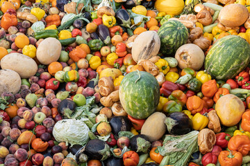 Expired Organic bio waste. Mix Vegetables and fruits in a rubbish bin container. Heap of Compost...