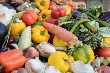 Expired Organic bio waste. Mix Vegetables and fruits in a rubbish bin container. Heap of Compost...