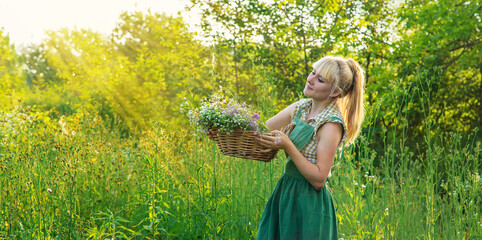 A woman collects medicinal herbs. Selective focus.
