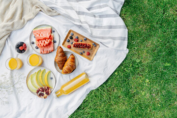 picnic on lawn with fruits and sweets at summertime