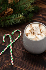 Obraz na płótnie Canvas Hot chocolate with marshmallow and coco powder, candy cane pine cones, ribbon, pine needles, pine branch, dark wood, Christmas concept, perspecitve view.
