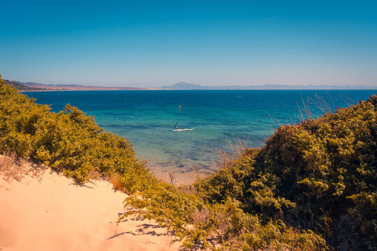 Parasailer on rippling sea water in sunset
