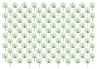 green leaves or fan palm leaves background