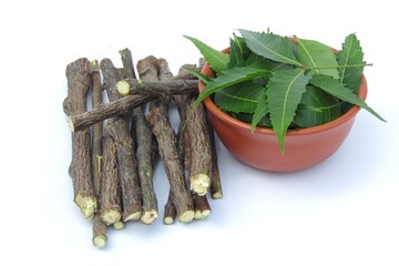 Neem leaves in a bowl with sticks isolated on white background 