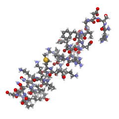 vasoactive intestinal peptide, chemical structure
