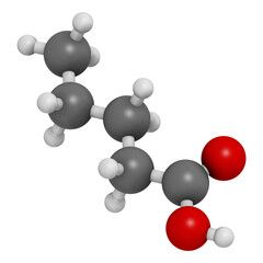 Valeric acid molecule. Smelly molecule, present in the plant valerian (Valeriana officinalis).