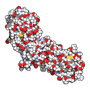 Tissue Factor (TF, Extracellular Part) Protein. Essential In Extrinsic Pathway Of Blood Coagulation.