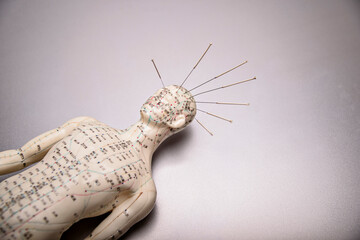 acupuncture model with needles in the head.