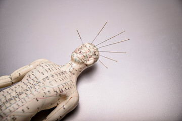 acupuncture model with needles in the head.