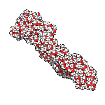 Polylactic acid (PLA, polylactide) bioplastic, chemical structure. Compostable polymer used in medical implants, 3D printing, packaging materials, etc.