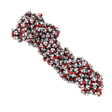 Polylactic acid (PLA, polylactide) bioplastic, chemical structure. Compostable polymer used in medical implants, 3D printing, packaging materials, etc.
