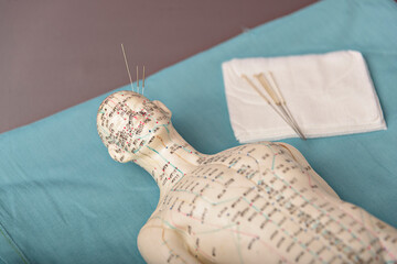 Acupuncture Model Energy Meridians Message Banner. acupuncture dummy showing meridians and space for copy.