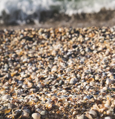 A beach made of shells on a blurred bokeh background of the sea surf of the Black Sea coast, on a warm summer evening