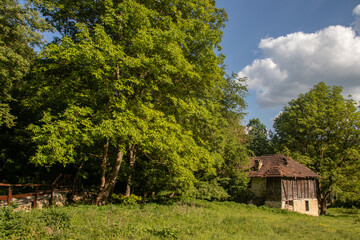 Fototapeta premium Haunted abounded empty house on country side, at the end of deserted village