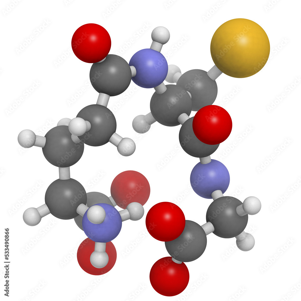 Sticker glutathione antioxidant, molecular model