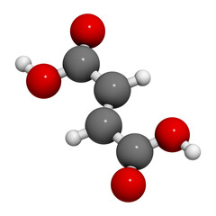 Fumaric acid molecule. Found in bolete mushrooms, lichen and iceland moss and used as food additive. 3D rendering.