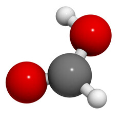 Formic acid ant sting chemical, molecular model.