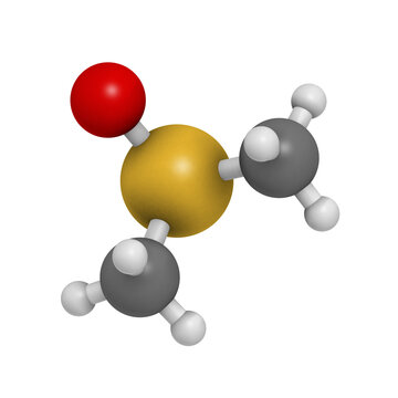 dimethylsulfoxide (DMSO) solvent molecule, chemical structure.