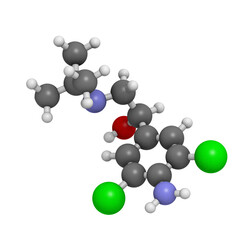 Clenbuterol asthma drug, molecular model