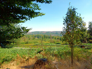 Moor Ochsenbruch bei Börfink im Hunsrück, Landkreis Birkenfeld, Rheinland-Pfalz mit Blick in die...