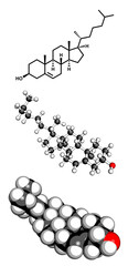 Cholesterol molecule. Essential component of cell membranes and precursor of steroid hormones, bile acids and vitamin D. 3D rendering.