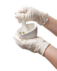 Fototapeta premium Hands in medical gloves and a medical mortar