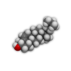 Cholesterol molecule. Essential component of cell membranes and precursor of steroid hormones, bile acids and vitamin D. 3D rendering.