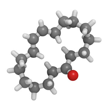 Civetone perfume molecule, chemical structure