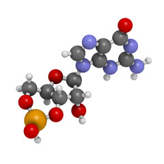 Cyclic guanosine monophosphate (cGMP) molecule. Important second messenger, produced by guanylate cyclase, broken down by phosphodiesterase (PDE).