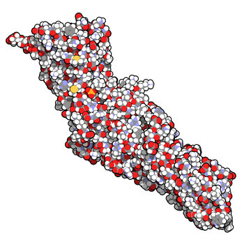 Cholesteryl ester transfer protein (CETP). Potential drug target in atherosclerosis therapy.