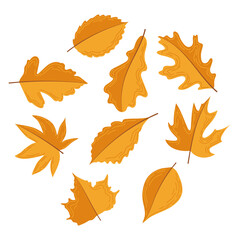 Obraz premium Leaves. Autumn set of leaves in flat style.