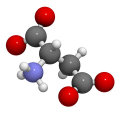 Aspartic acid (Asp, D, aspartate)amino acid, molecular model.