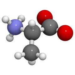 Alanine (Ala, A) amino acid, molecular model.