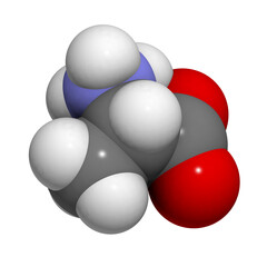 Alanine (Ala, A) amino acid, molecular model.