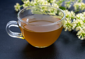 Mug with tea in yellow color on a blue cloth on a black background with guaco flowers on the side. Mention of treatment with alternative, herbal and natural medicine.