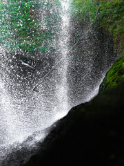 Waterfall on the rocky cliff in the autumn rainforest of the Silver Falls State Park, Oregon