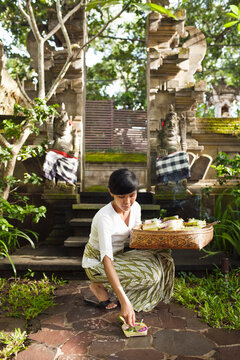 Balinese woman makes morning offerings at a hotel. Bali, Indonesia. These offerings to the spirits are made on a daily basis throughout Bali.