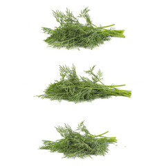 Dill collection on white background