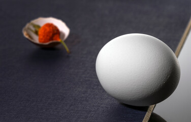 Contrast - egg and dry red berry on a balanced rough surface