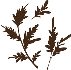 Drawn set of leaves. Simple leaves for decoration. Monochrome. Clipart. Elements for decor. Minimalism. Nature.