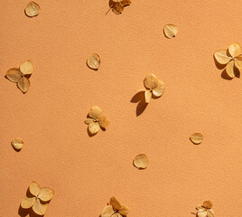 Dried autumn small hydrangea flowers on the brown background seamless pattern. Top view.