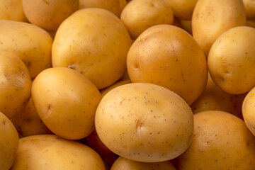 A group of fresh tasty potato as  background.