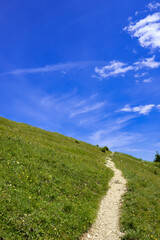 Trekking path in green meadow against blue sky